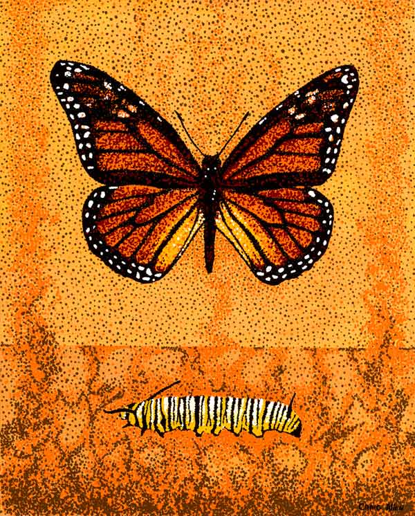 Journal entry: pointillist butterflies. A butterfly & it's caterpillar. Species, Danaus plexippus. The Monarch Butterfly or simply Monarch is a milkweed butterfly in the family Nymphalidae. Other common names, depending on region, include milkweed and common tiger