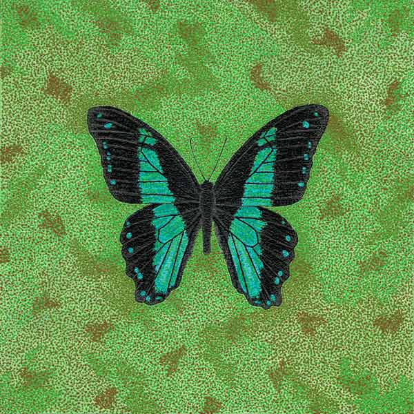 Journal entry: pointillist butterflies. Papilio chrapkowskoides, the Broadly Green-Banded Swallowtail, is a species of swallowtail butterfly from the genus Papilio