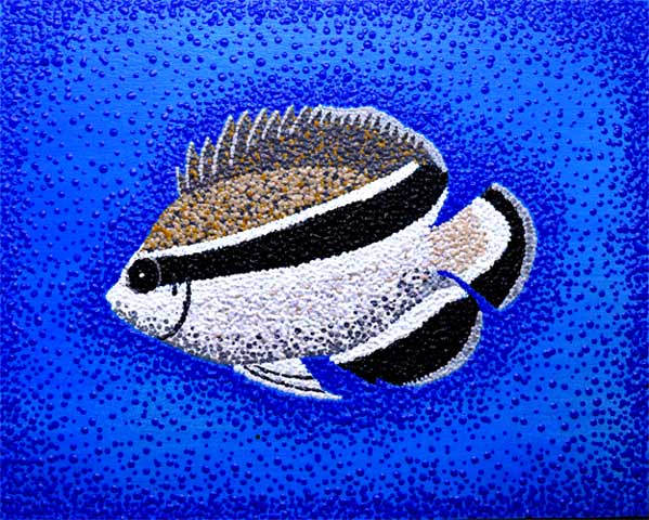 Journal Entry: Fish in Art: Series: Fish. Bandit Angelfish.  It is endemic to deeper reefs in Hawaii. Acrylic pointillism